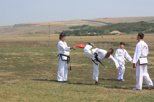 Ziua comunei Gagesti 2015 - Demonstratie de taekwondo