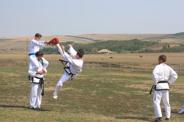Ziua comunei Gagesti 2015 - Demonstratie de taekwondo