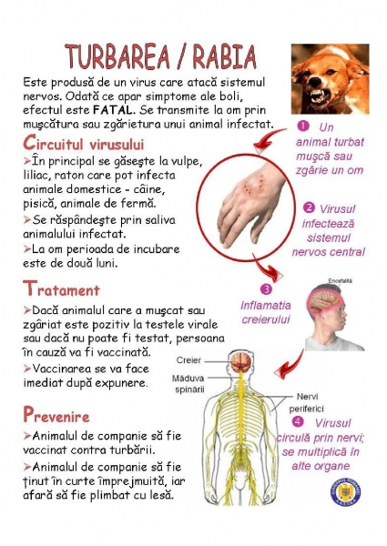 Informații despre turbare