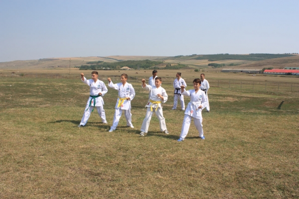 Ziua comunei Gagesti 2015 - Demonstratie de taekwondo