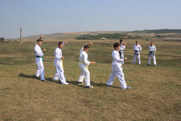 Ziua comunei Gagesti 2015 - Demonstratie de taekwondo