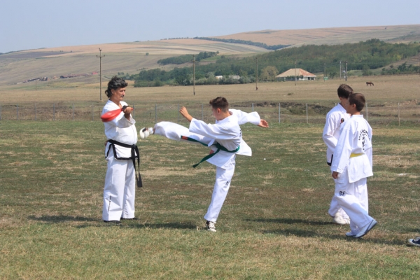 Ziua comunei Gagesti 2015 - Demonstratie de taekwondo