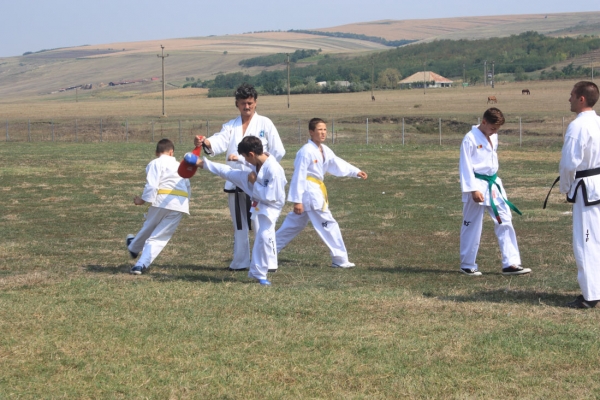 Ziua comunei Gagesti 2015 - Demonstratie de taekwondo