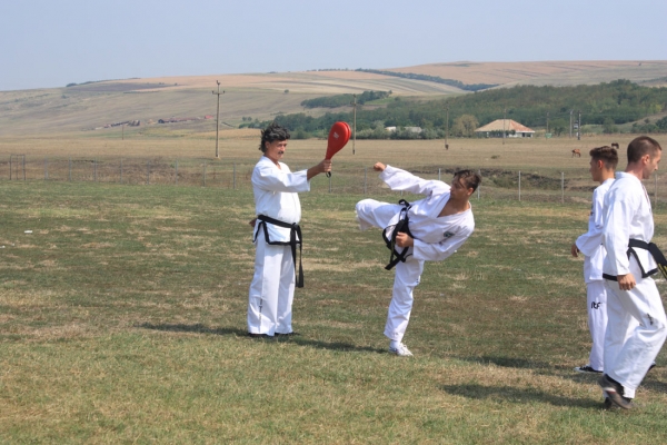 Ziua comunei Gagesti 2015 - Demonstratie de taekwondo