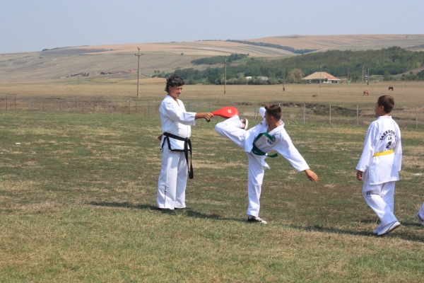 Ziua comunei Gagesti 2015 - Demonstratie de taekwondo