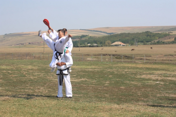 Ziua comunei Gagesti 2015 - Demonstratie de taekwondo