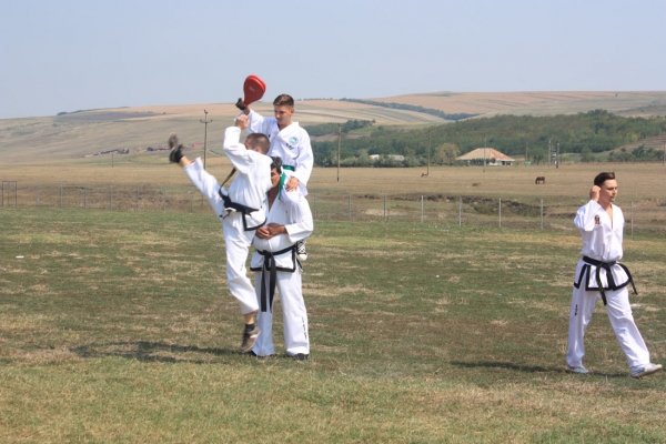 Ziua comunei Gagesti 2015 - Demonstratie de taekwondo