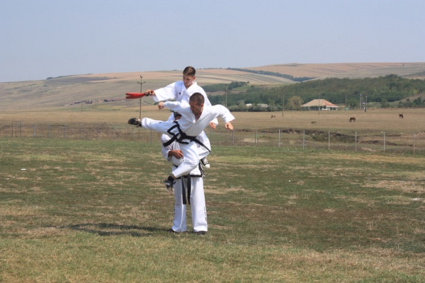 Ziua comunei Gagesti 2015 - Demonstratie de taekwondo