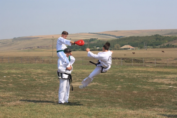 Ziua comunei Gagesti 2015 - Demonstratie de taekwondo