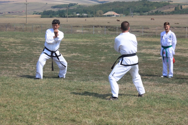 Ziua comunei Gagesti 2015 - Demonstratie de taekwondo