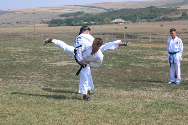 Ziua comunei Gagesti 2015 - Demonstratie de taekwondo