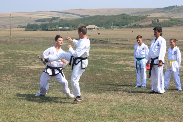 Ziua comunei Gagesti 2015 - Demonstratie de taekwondo