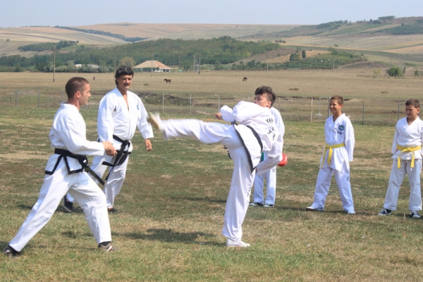 Ziua comunei Gagesti 2015 - Demonstratie de taekwondo