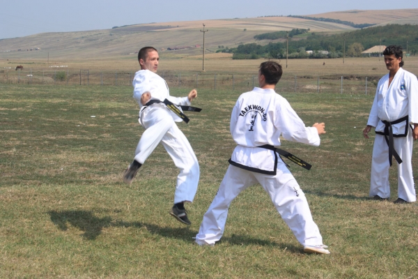 Ziua comunei Gagesti 2015 - Demonstratie de taekwondo