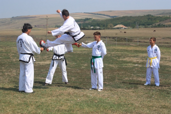 Ziua comunei Gagesti 2015 - Demonstratie de taekwondo