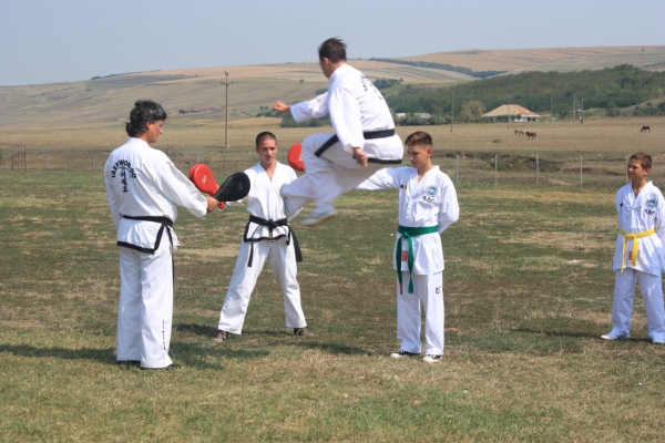 Ziua comunei Gagesti 2015 - Demonstratie de taekwondo