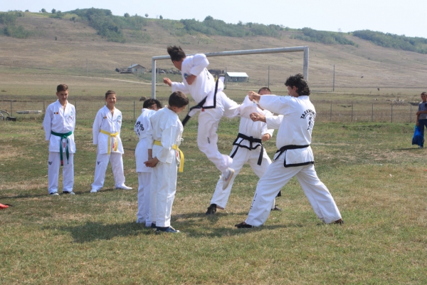 Ziua comunei Gagesti 2015 - Demonstratie de taekwondo