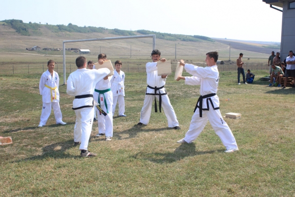 Ziua comunei Gagesti 2015 - Demonstratie de taekwondo