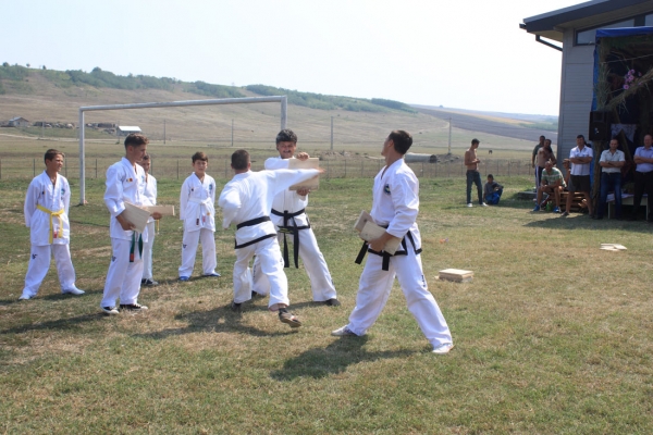 Ziua comunei Gagesti 2015 - Demonstratie de taekwondo