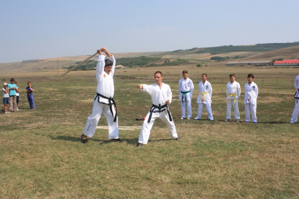 Ziua comunei Gagesti 2015 - Demonstratie de taekwondo