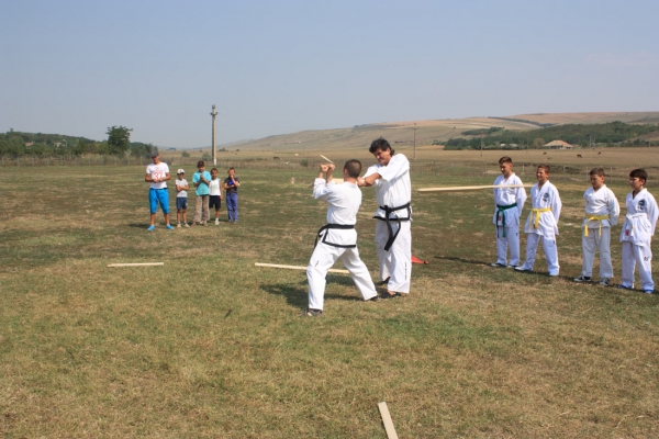 Ziua comunei Gagesti 2015 - Demonstratie de taekwondo