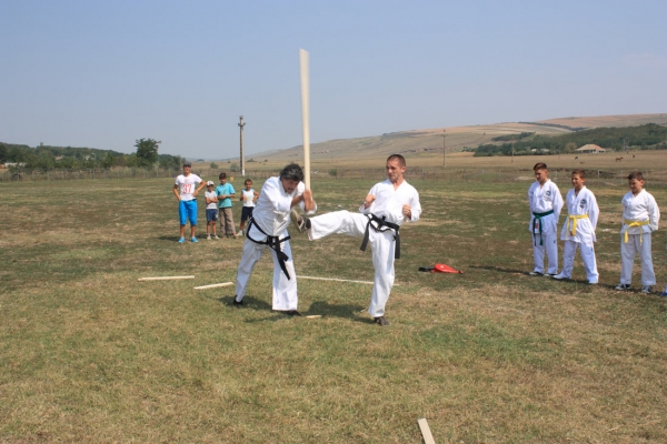 Ziua comunei Gagesti 2015 - Demonstratie de taekwondo