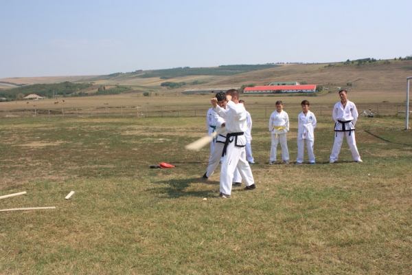 Ziua comunei Gagesti 2015 - Demonstratie de taekwondo