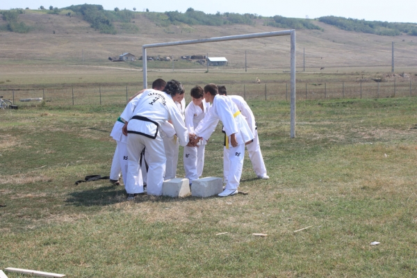 Ziua comunei Gagesti 2015 - Demonstratie de taekwondo