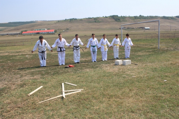 Ziua comunei Gagesti 2015 - Demonstratie de taekwondo