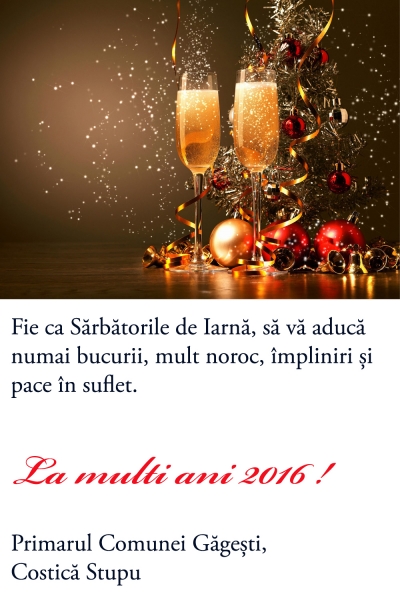 Felicitare Gagesti 2016