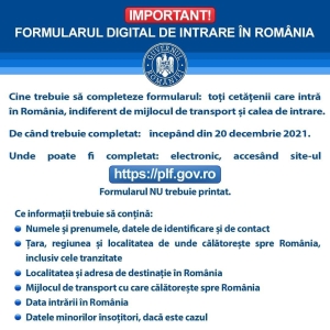 Formularul digital de intrare în România
